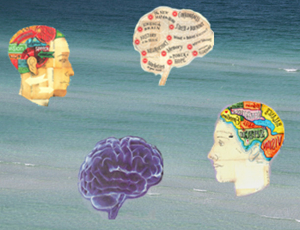A group of heads with different colored brains and words